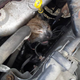 Illustration for article titled Miracle Kitten 'Mr. Biscuits' Survives Being Trapped in Engine of Car
